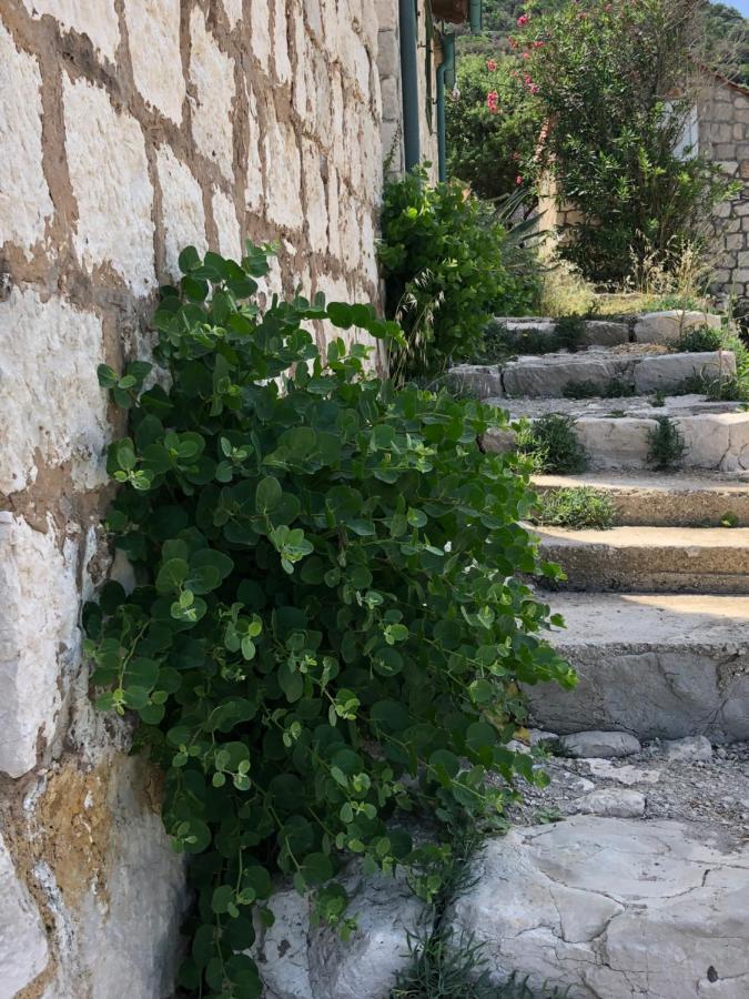Villa Iva Lastovo Uble Екстер'єр фото